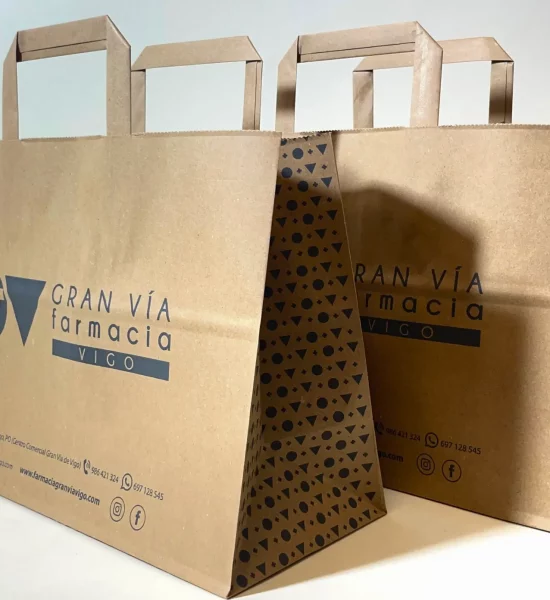 bolsa papel asa plana